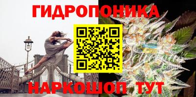 стафф Краснодар