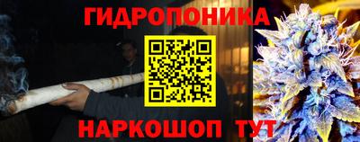 стафф Краснодар